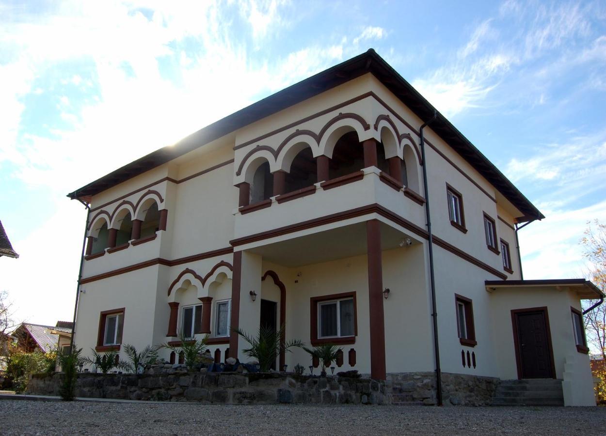 Vila Phoenix Кэлимэнешти Экстерьер фото